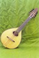 Mandolina